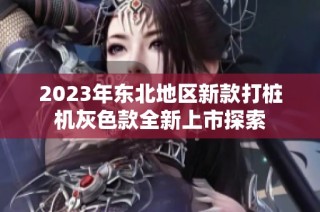2023年东北地区新款打桩机灰色款全新上市探索