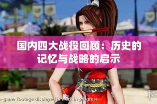 国内四大战役回顾：历史的记忆与战略的启示