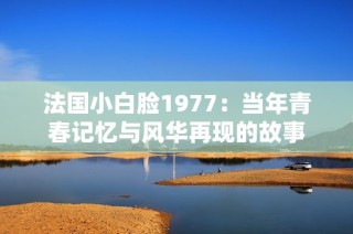 法国小白脸1977：当年青春记忆与风华再现的故事