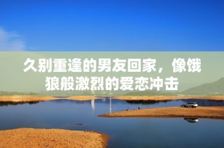 久别重逢的男友回家，像饿狼般激烈的爱恋冲击