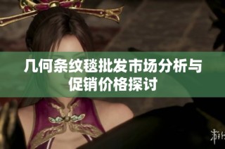 几何条纹毯批发市场分析与促销价格探讨