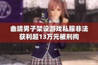 曲靖男子架设游戏私服非法获利超13万元被刑拘
