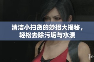 清洁小扫货的妙招大揭秘，轻松去除污垢与水渍