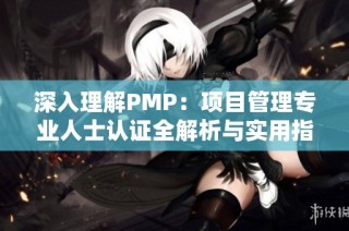 深入理解PMP：项目管理专业人士认证全解析与实用指南
