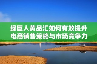 绿巨人黄品汇如何有效提升电商销售策略与市场竞争力