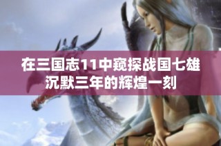 在三国志11中窥探战国七雄沉默三年的辉煌一刻