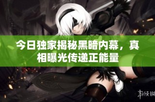 今日独家揭秘黑暗内幕，真相曝光传递正能量