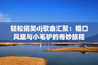 轻松搞笑dj歌曲汇聚：粗口风趣与小毛驴的奇妙旅程