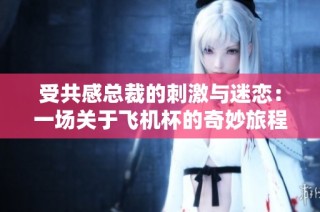 受共感总裁的刺激与迷恋：一场关于飞机杯的奇妙旅程