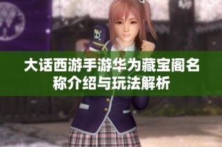大话西游手游华为藏宝阁名称介绍与玩法解析