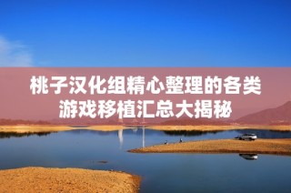 桃子汉化组精心整理的各类游戏移植汇总大揭秘