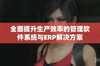 全面提升生产效率的管理软件系统与ERP解决方案