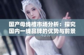 国产母线槽市场分析：探究国内一线品牌的优势与前景