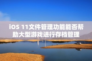 iOS 11文件管理功能能否帮助大型游戏进行存档管理