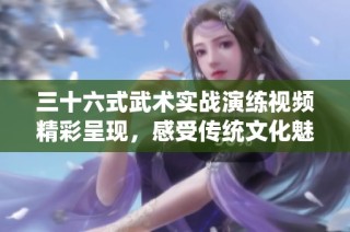 三十六式武术实战演练视频精彩呈现，感受传统文化魅力