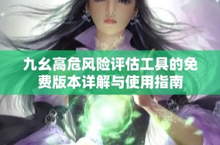 九幺高危风险评估工具的免费版本详解与使用指南