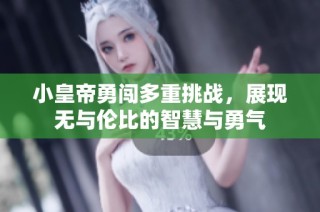 小皇帝勇闯多重挑战，展现无与伦比的智慧与勇气
