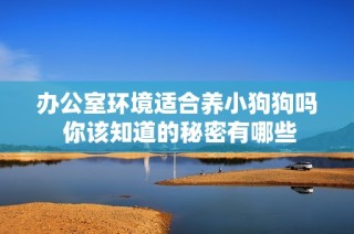 办公室环境适合养小狗狗吗 你该知道的秘密有哪些