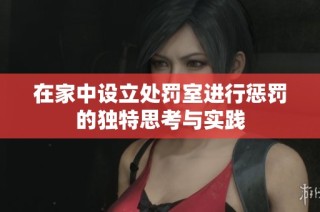 在家中设立处罚室进行惩罚的独特思考与实践