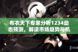 布衣天下专家分析1234动态预测，解读市场趋势与机会