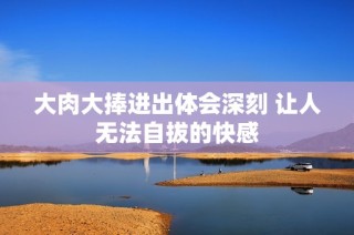 大肉大捧进出体会深刻 让人无法自拔的快感