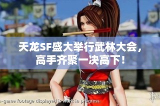 天龙SF盛大举行武林大会，高手齐聚一决高下！