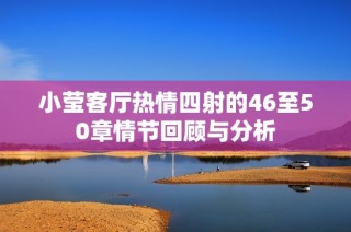 小莹客厅热情四射的46至50章情节回顾与分析