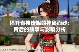 揭开青楼传媒的神秘面纱：背后的故事与影响分析