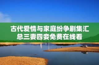 古代爱情与家庭纷争剧集汇总三妻四妾免费在线看