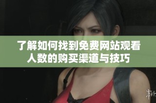 了解如何找到免费网站观看人数的购买渠道与技巧