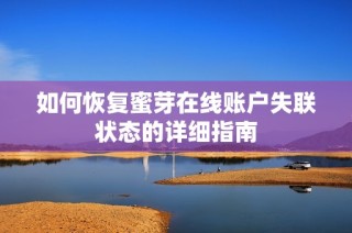 如何恢复蜜芽在线账户失联状态的详细指南