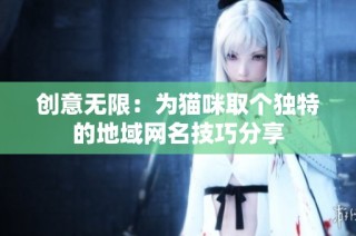 创意无限：为猫咪取个独特的地域网名技巧分享