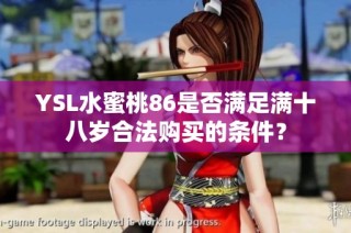 YSL水蜜桃86是否满足满十八岁合法购买的条件？