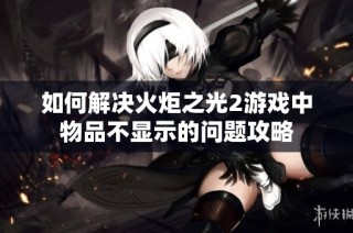 如何解决火炬之光2游戏中物品不显示的问题攻略