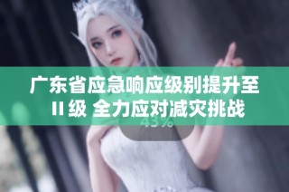 广东省应急响应级别提升至Ⅱ级 全力应对减灾挑战