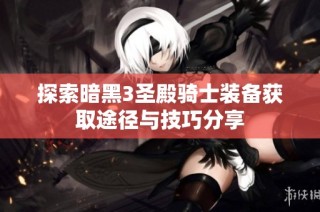 探索暗黑3圣殿骑士装备获取途径与技巧分享