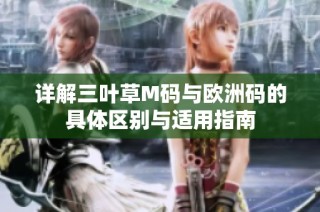 详解三叶草M码与欧洲码的具体区别与适用指南
