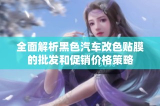 全面解析黑色汽车改色贴膜的批发和促销价格策略
