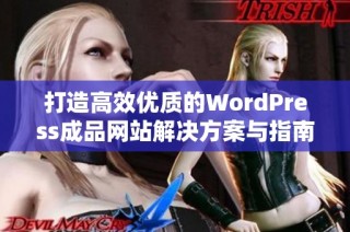 打造高效优质的WordPress成品网站解决方案与指南
