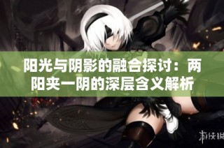 阳光与阴影的融合探讨：两阳夹一阴的深层含义解析