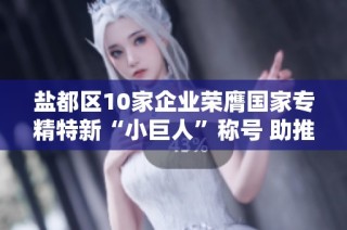 盐都区10家企业荣膺国家专精特新“小巨人”称号 助推区域经济发展