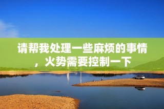 请帮我处理一些麻烦的事情，火势需要控制一下