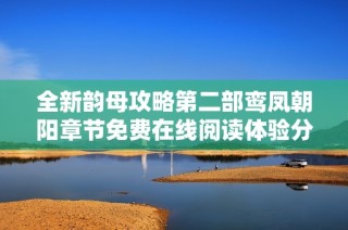 全新韵母攻略第二部鸾凤朝阳章节免费在线阅读体验分享