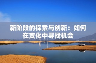 新阶段的探索与创新：如何在变化中寻找机会