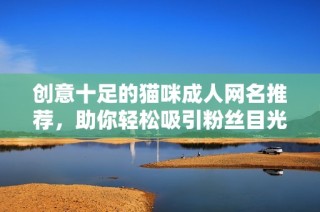 创意十足的猫咪成人网名推荐，助你轻松吸引粉丝目光