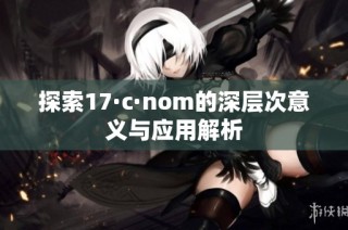 探索17·c·nom的深层次意义与应用解析