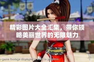 精彩图片大全汇集，带你领略美丽世界的无限魅力