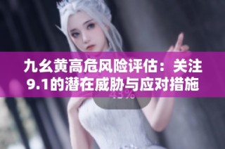 九幺黄高危风险评估：关注9.1的潜在威胁与应对措施