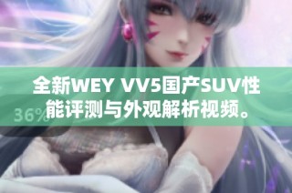 全新WEY VV5国产SUV性能评测与外观解析视频。