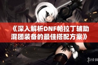 《深入解析DNF帕拉丁辅助混团装备的最佳搭配方案》